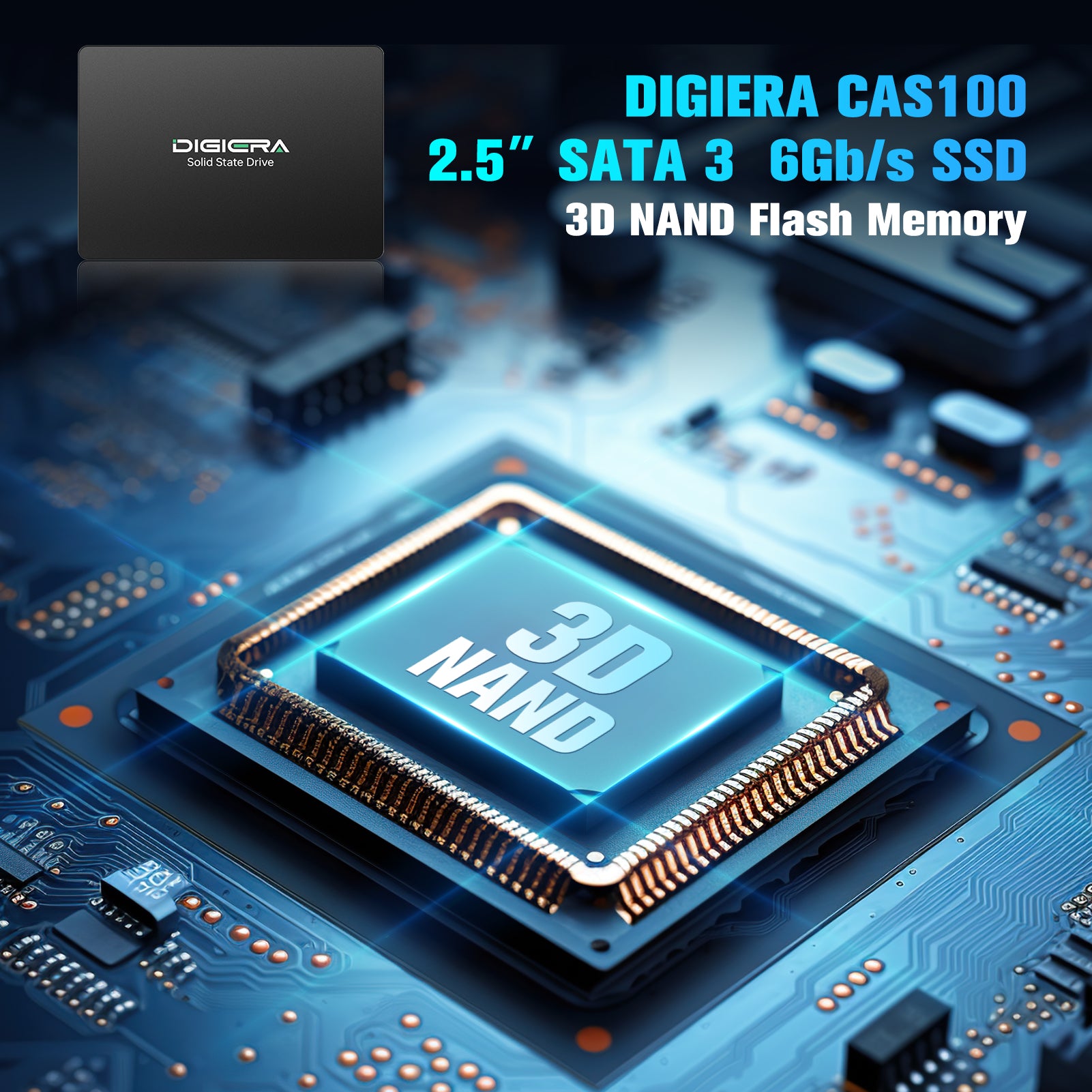 Digiera CAS100 Desktop SSD: 2.5
