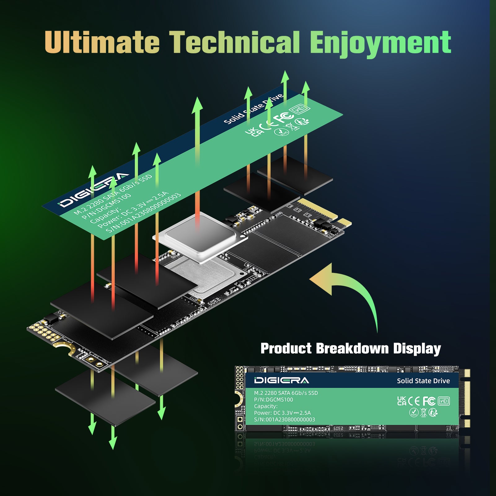 CMS100 M.2 2280 SATA III SSD Reliable Solid State Drive for Laptops & PCs