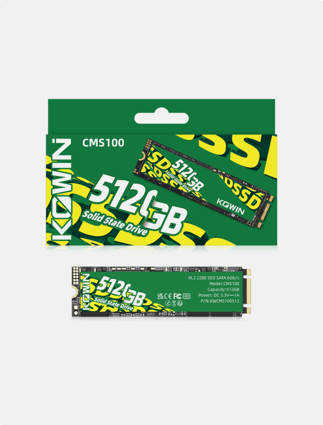 CMS100 M.2 2280 SATA III SS