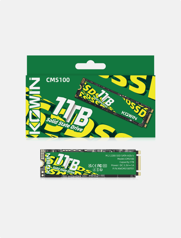 CMS100 M.2 2280 SATA III SS