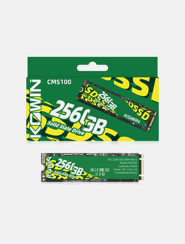 CMS100 M.2 2280 SATA III SS