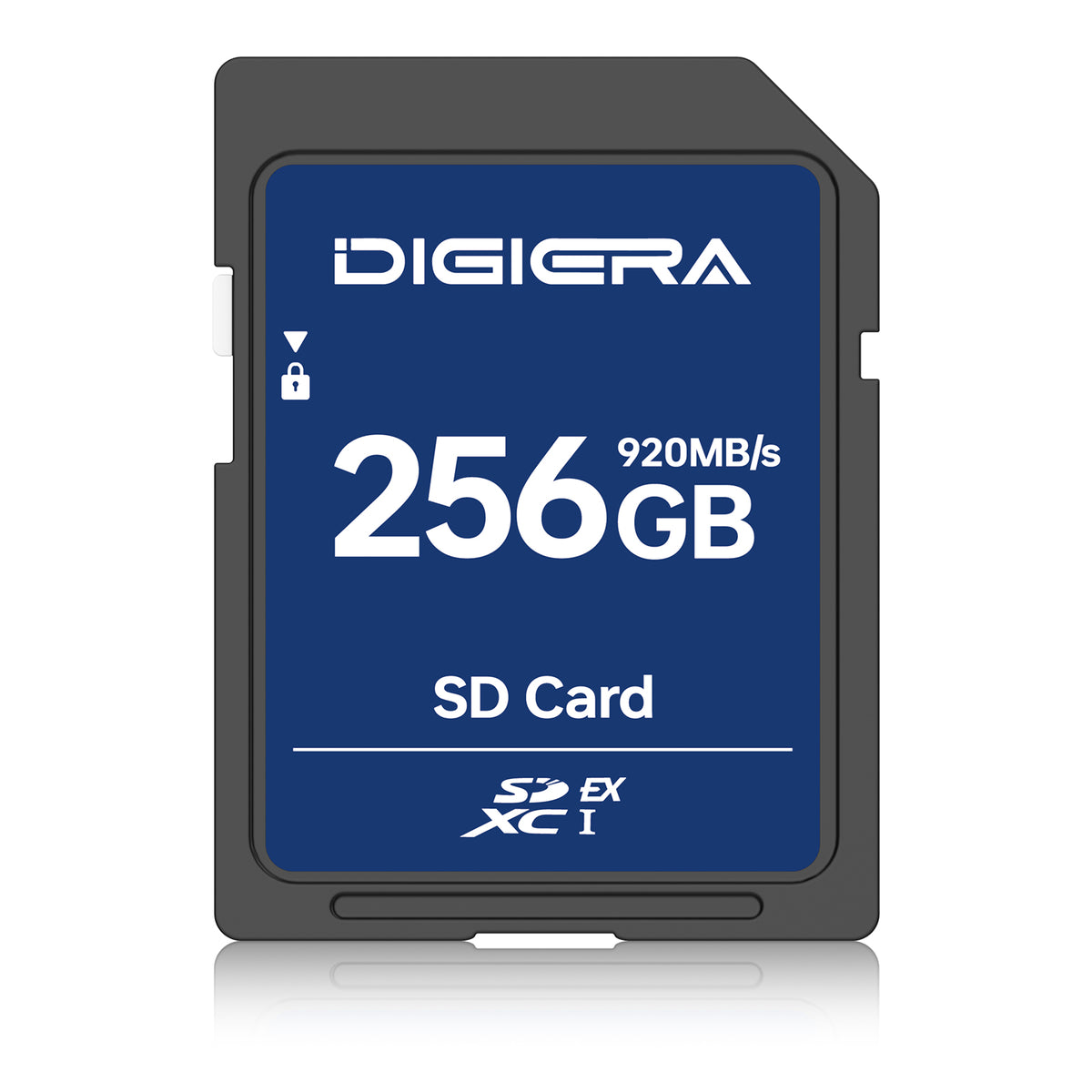 LSE100 SD Card — Ultra-Fast Performance for 4K Video & Photography