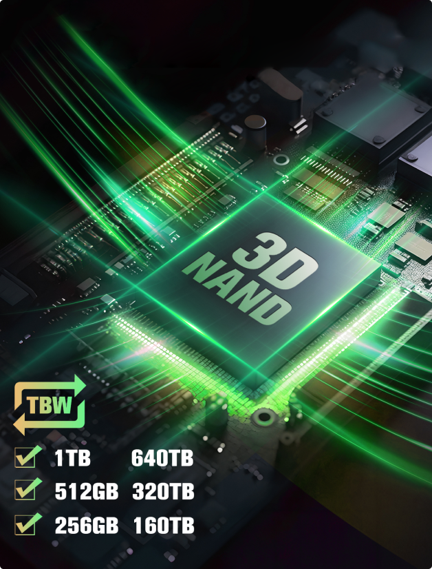 CMS100 M.2 2280 SATA III SS